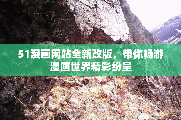 51漫画网站全新改版，带你畅游漫画世界精彩纷呈