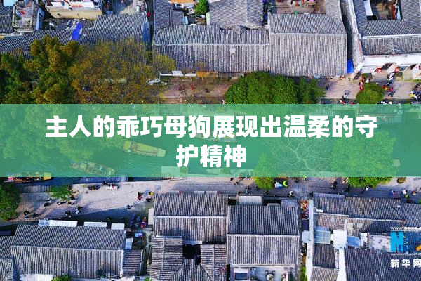 主人的乖巧母狗展现出温柔的守护精神