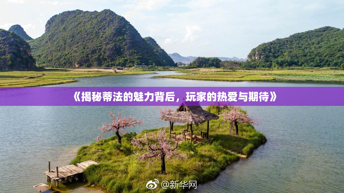 《揭秘蒂法的魅力背后，玩家的热爱与期待》
