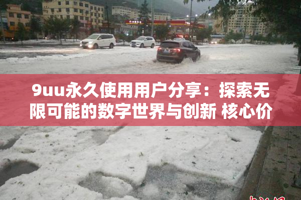 9uu永久使用用户分享：探索无限可能的数字世界与创新 核心价值