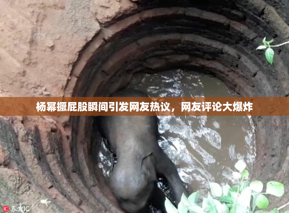 杨幂撅屁股瞬间引发网友热议，网友评论大爆炸