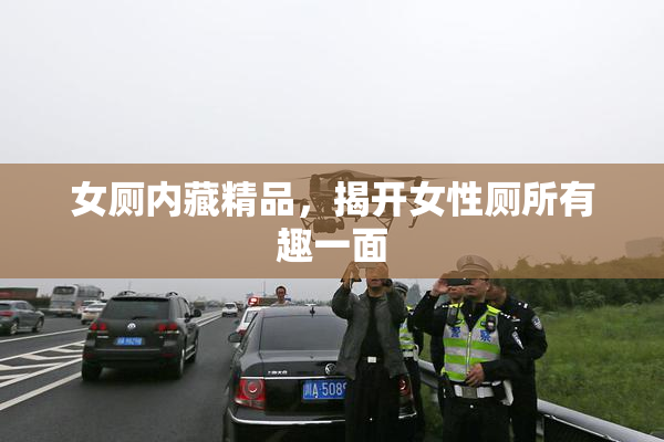 女厕内藏精品，揭开女性厕所有趣一面