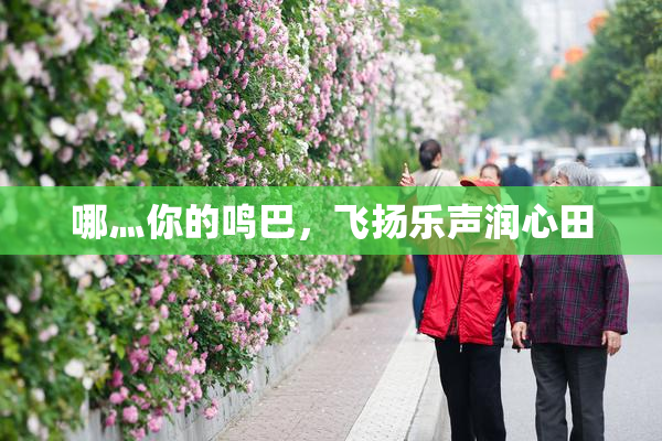 哪灬你的鸣巴，飞扬乐声润心田