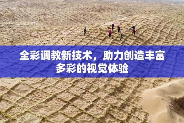 全彩调教新技术，助力创造丰富多彩的视觉体验