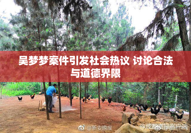 吴梦梦案件引发社会热议 讨论合法与道德界限