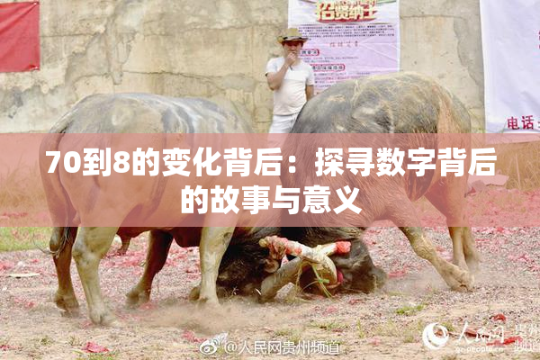 70到8的变化背后：探寻数字背后的故事与意义
