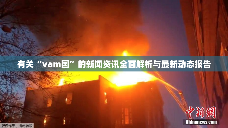 有关“vam国”的新闻资讯全面解析与最新动态报告