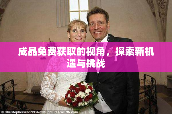 成品免费获取的视角，探索新机遇与挑战