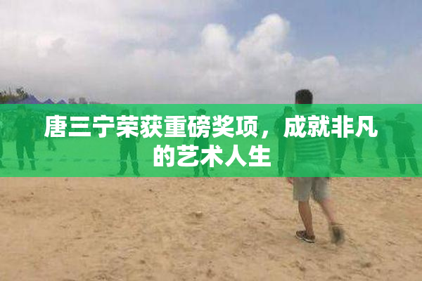 唐三宁荣获重磅奖项，成就非凡的艺术人生