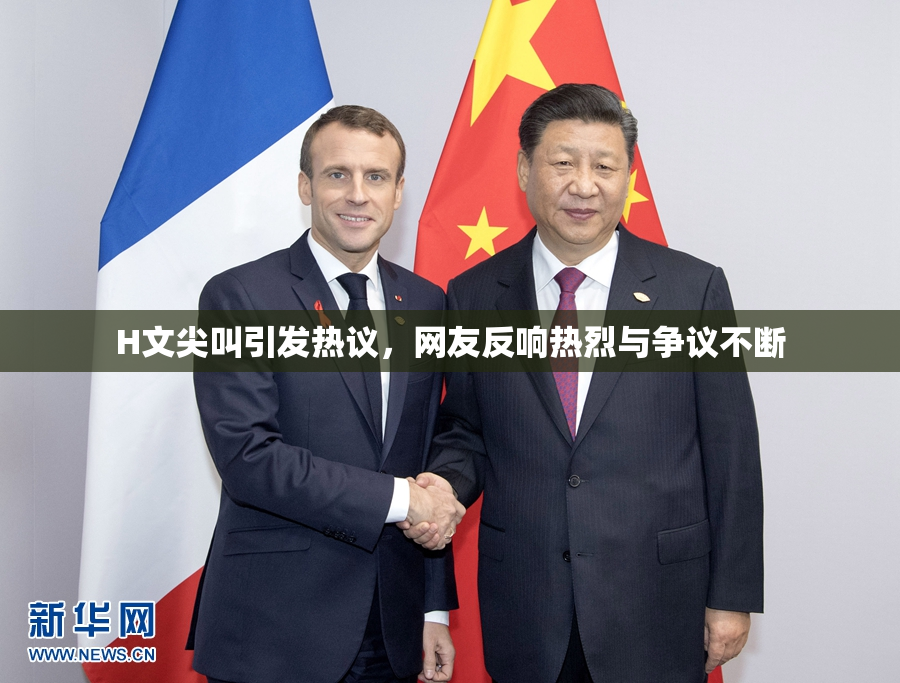 H文尖叫引发热议，网友反响热烈与争议不断