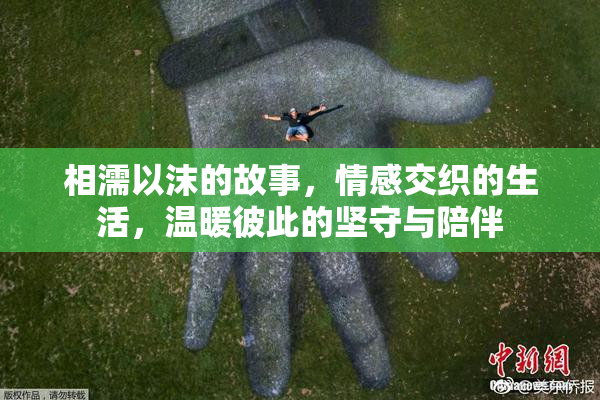 相濡以沫的故事，情感交织的生活，温暖彼此的坚守与陪伴