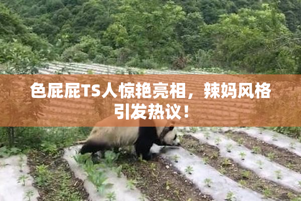 色屁屁TS人惊艳亮相，辣妈风格引发热议！