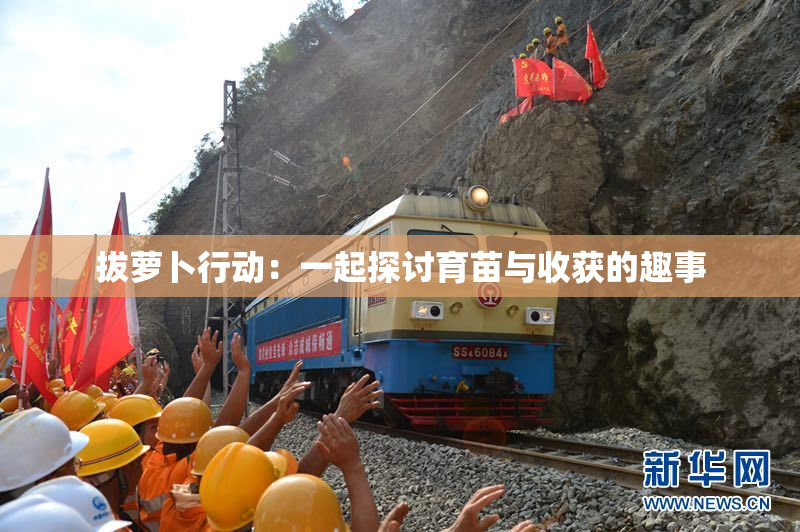 拔萝卜行动：一起探讨育苗与收获的趣事