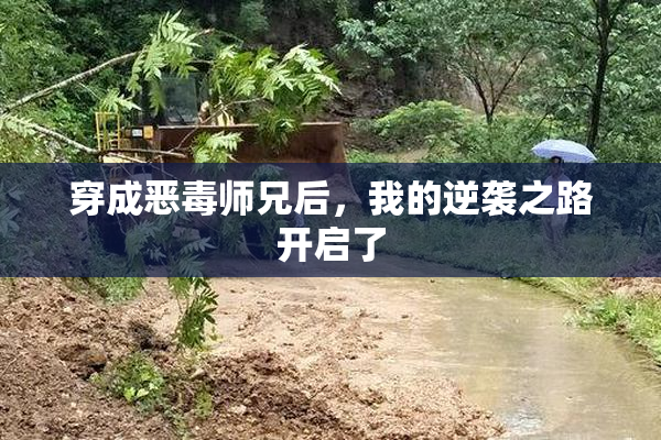 穿成恶毒师兄后，我的逆袭之路开启了