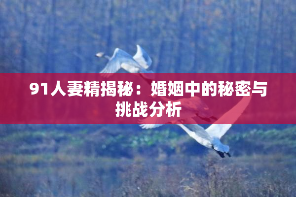 91人妻精揭秘：婚姻中的秘密与挑战分析