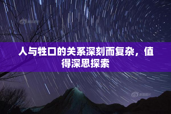人与牲口的关系深刻而复杂，值得深思探索