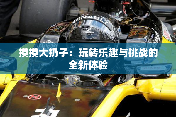 摸摸大扔子：玩转乐趣与挑战的全新体验