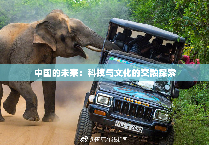 中国的未来：科技与文化的交融探索