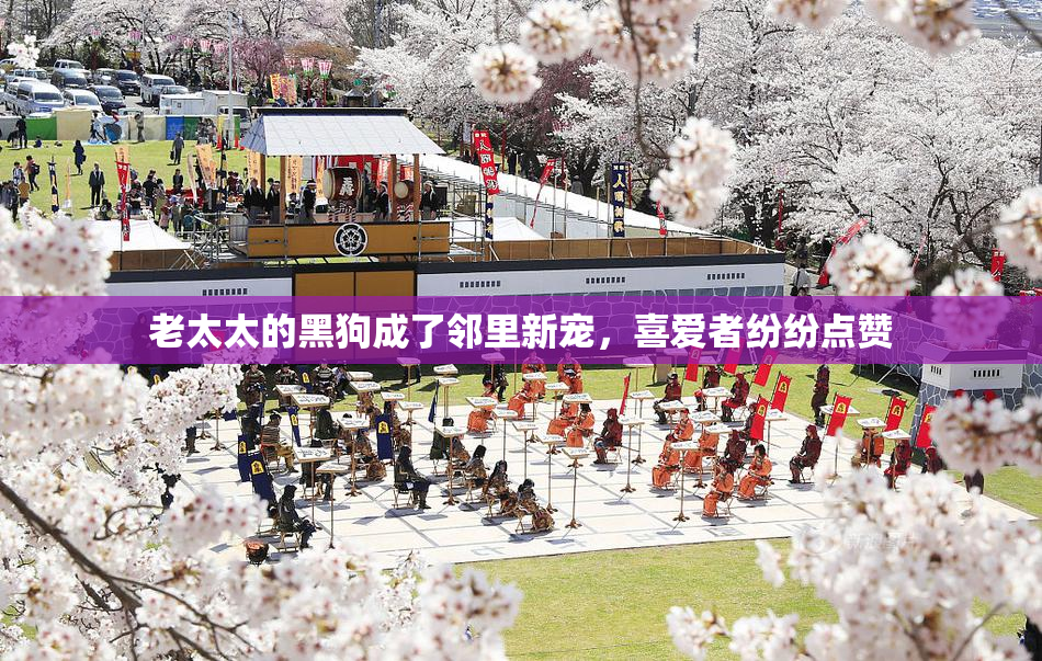 老太太的黑狗成了邻里新宠，喜爱者纷纷点赞