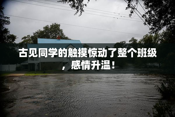 古见同学的触摸惊动了整个班级，感情升温！