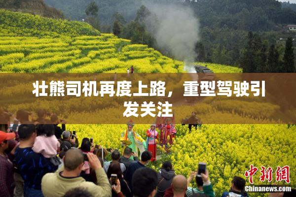 壮熊司机再度上路，重型驾驶引发关注