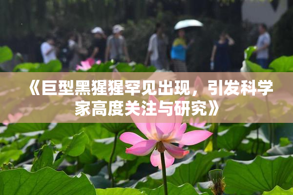 《巨型黑猩猩罕见出现，引发科学家高度关注与研究》