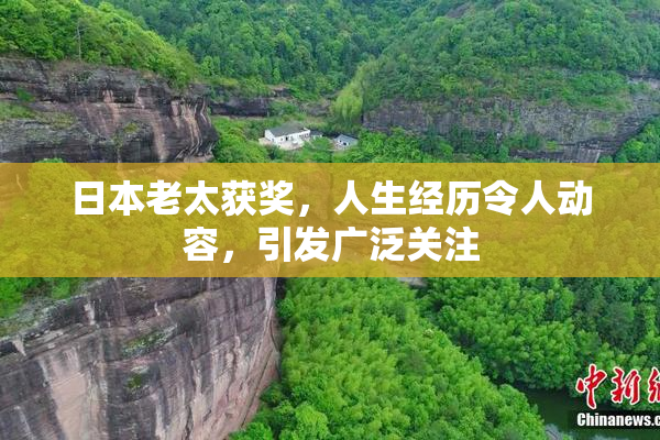 日本老太获奖，人生经历令人动容，引发广泛关注