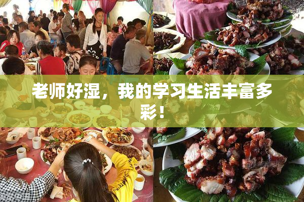 老师好湿，我的学习生活丰富多彩！