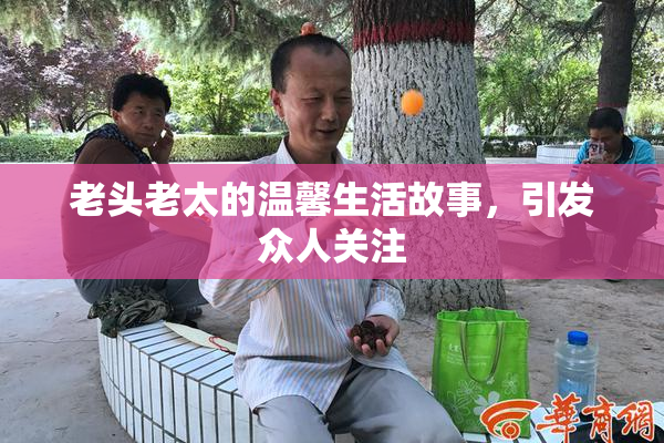 老头老太的温馨生活故事，引发众人关注