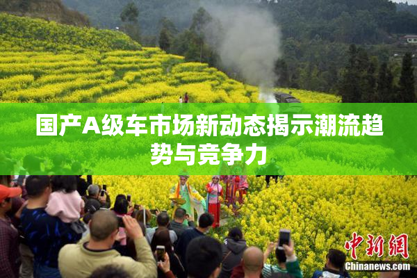 国产A级车市场新动态揭示潮流趋势与竞争力