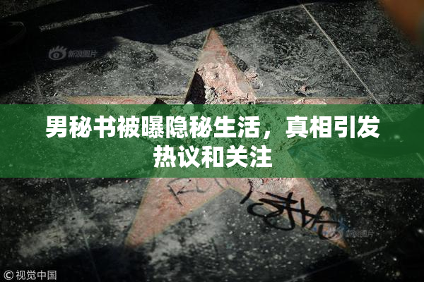 男秘书被曝隐秘生活，真相引发热议和关注