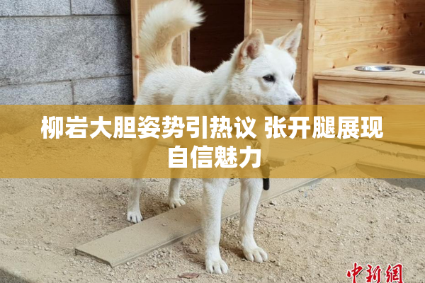柳岩大胆姿势引热议 张开腿展现自信魅力