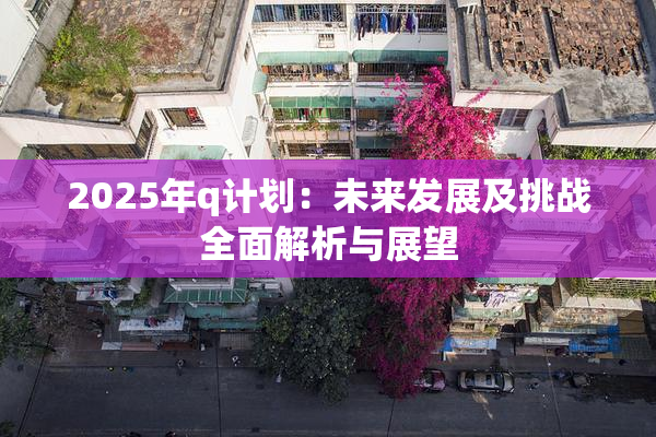 2025年q计划：未来发展及挑战全面解析与展望