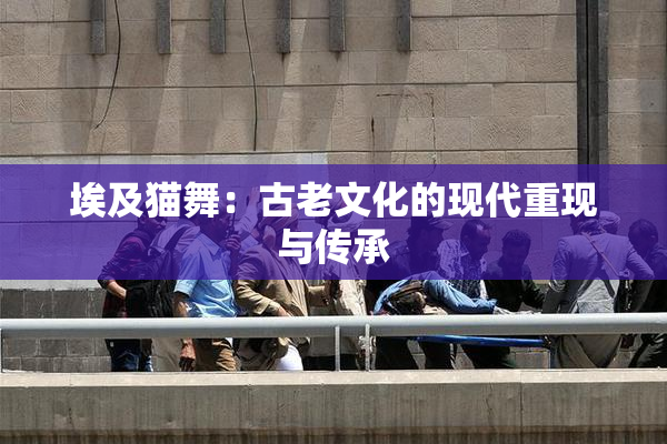 埃及猫舞：古老文化的现代重现与传承