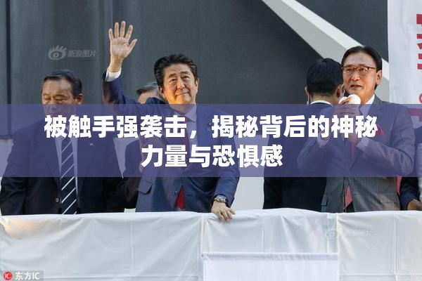 被触手强袭击，揭秘背后的神秘力量与恐惧感
