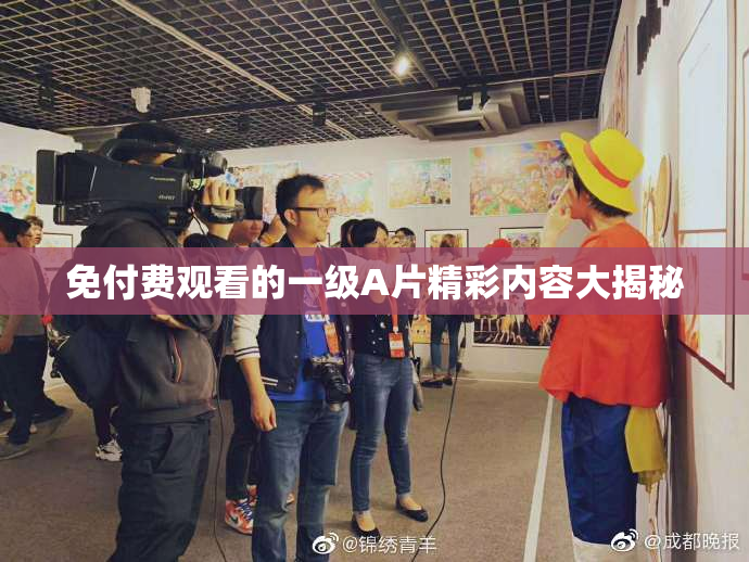 免付费观看的一级A片精彩内容大揭秘