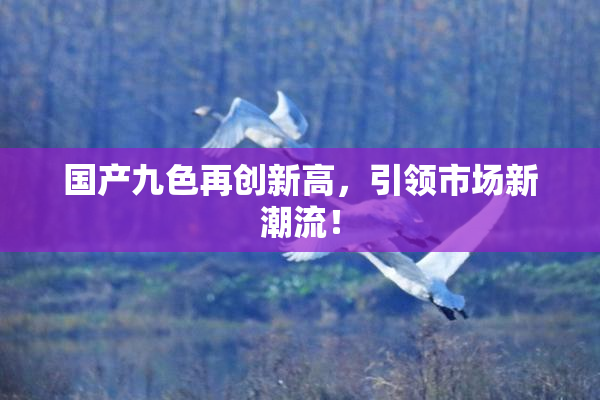 国产九色再创新高，引领市场新潮流！