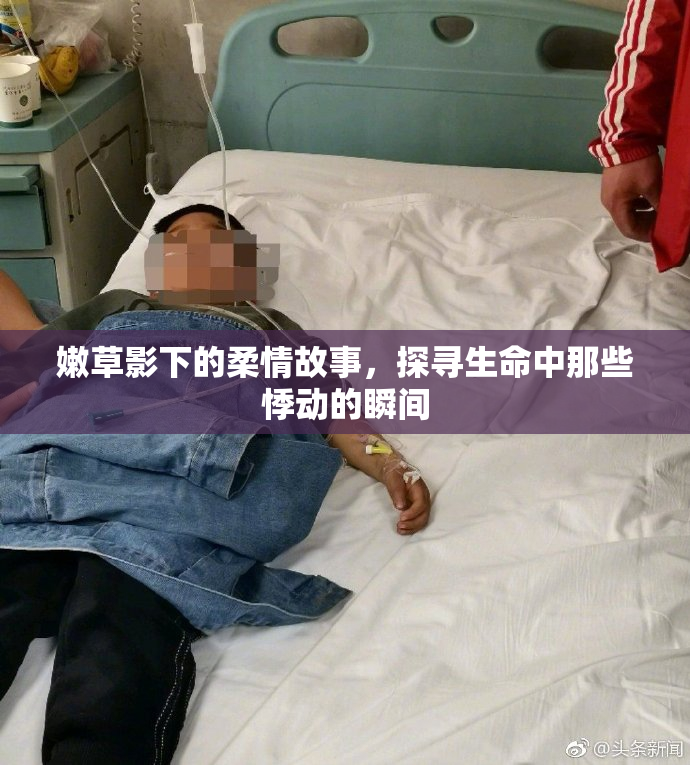嫩草影下的柔情故事，探寻生命中那些悸动的瞬间