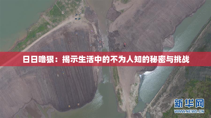 日日噜狠：揭示生活中的不为人知的秘密与挑战