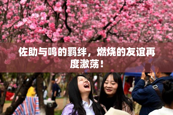 佐助与鸣的羁绊，燃烧的友谊再度激荡！