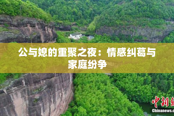 公与媳的重聚之夜：情感纠葛与家庭纷争