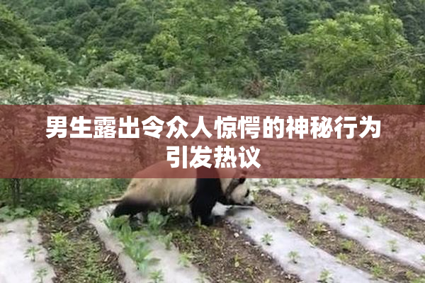 男生露出令众人惊愕的神秘行为引发热议
