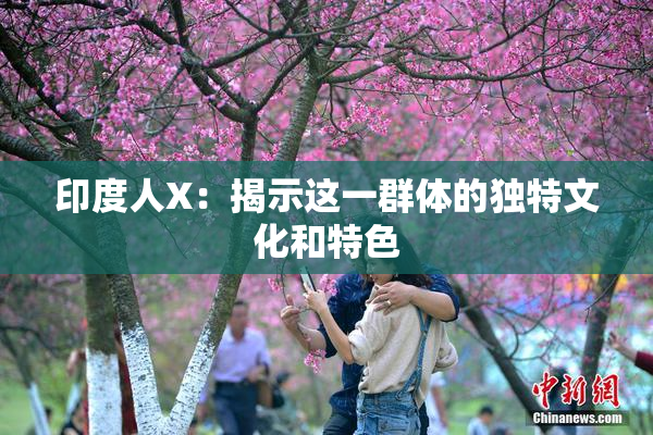 印度人X：揭示这一群体的独特文化和特色