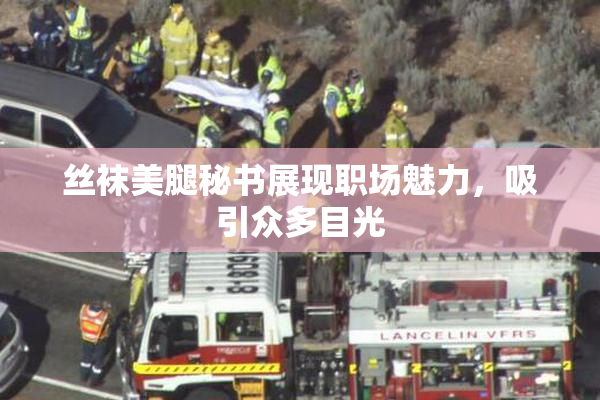 丝袜美腿秘书展现职场魅力，吸引众多目光