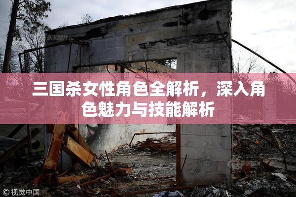 三国杀女性角色全解析，深入角色魅力与技能解析