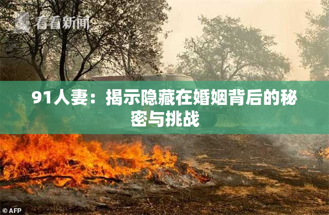 91人妻：揭示隐藏在婚姻背后的秘密与挑战