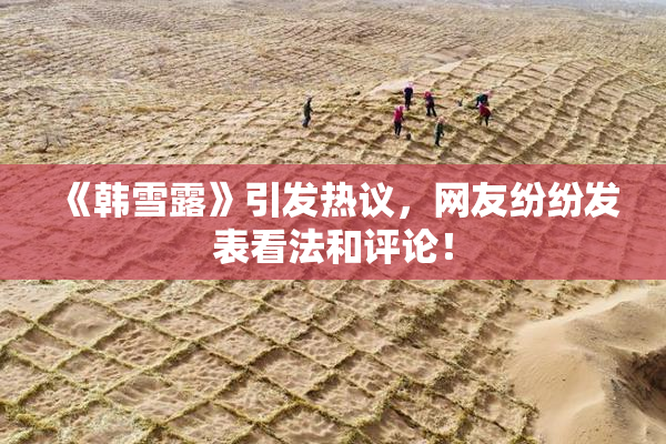 《韩雪露》引发热议，网友纷纷发表看法和评论！