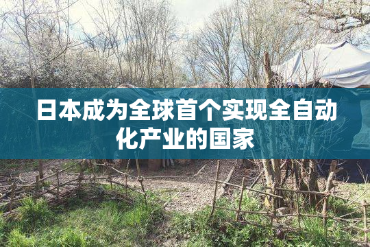 日本成为全球首个实现全自动化产业的国家