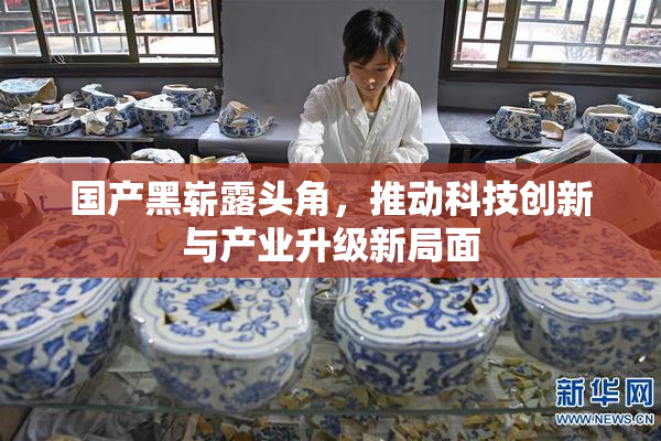 国产黑崭露头角，推动科技创新与产业升级新局面