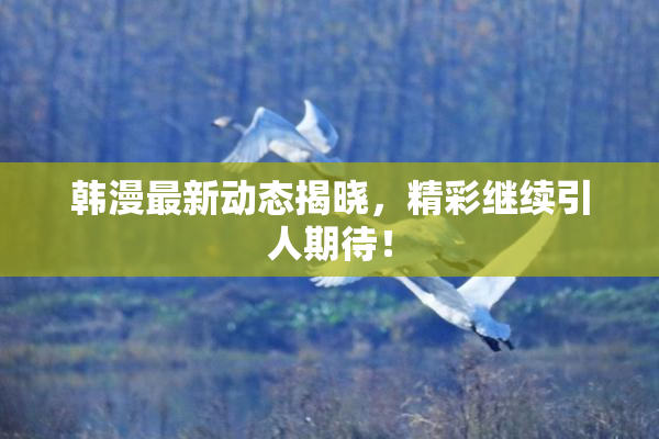 韩漫最新动态揭晓，精彩继续引人期待！